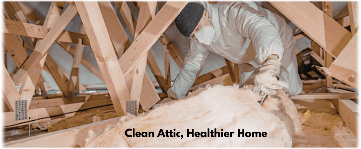 Attic Cleaning Tamarac FL