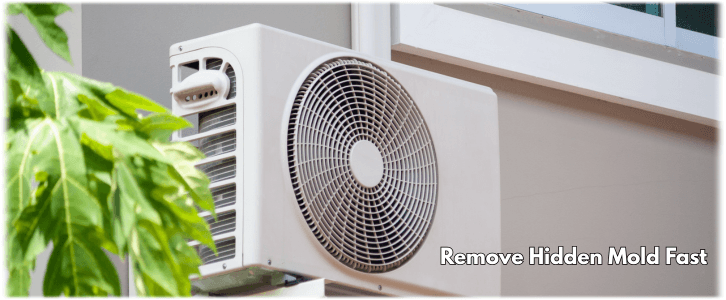 HVAC Mold Removal Tamarac FL